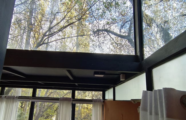 Kalp With Forest View- Cloud Nine and a Half Hunza - Photo 12