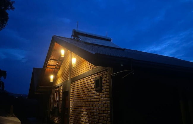 MOMO ELLA - Photo 20