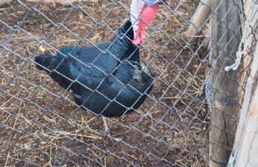 Casa Rural Abuela Simona - Foto 14