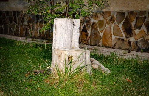 Casas Rurales Mirador del Mundo - Foto 23