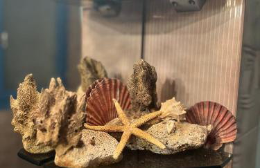 Lovely sea apartment Amarynthos - Foto 11