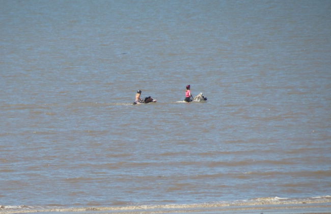 The Kyrenia - Foto 42