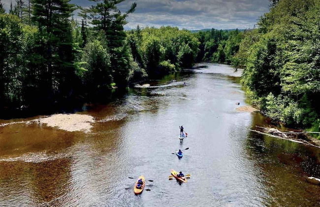 St-Sauveur Lovely Studio - Photo 54