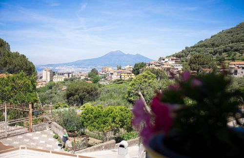 Tenuta Coppola - Foto 24