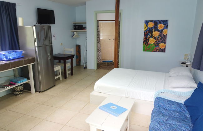 Bohemian Monkey - Foto 15