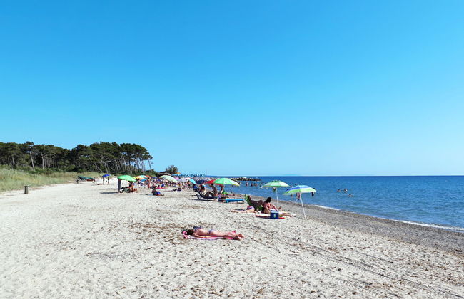 Palazzeta II - Foto 27