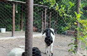 Apartamento Zion reserve suites - Photo 9