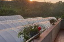 Casa Vacanze Cerreto 3 - Foto 25