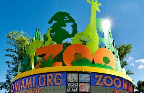 HOME AWAY FROM HOME Near Airport and Malls and Highways - Photo 42