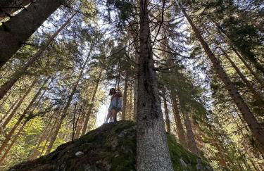 SKI ChaletStyle Designer Ferienwohnung Arber Terrasse Pool Garten Bayrischer Wald Lodges mit Hund - Foto 43