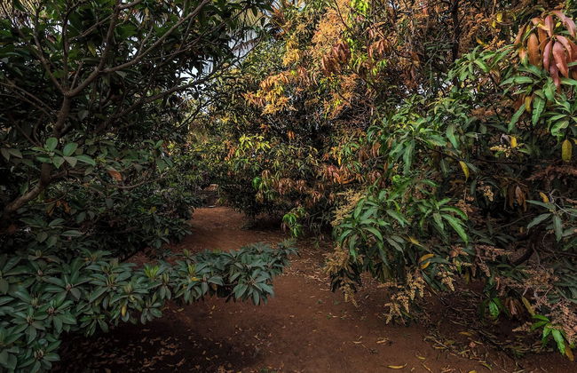 CosmicStays GreyStone Villa Mountain View & Dam - Foto 23