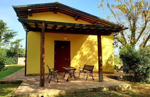 Agriturismo Podere Bedin - Foto 19