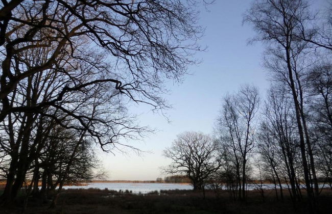 Holiday Home Mantinge Near Nature Reserve - Foto 30