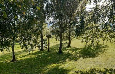 Bies Czadowy Zakątek - Foto 3