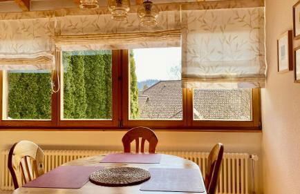 4-Sterne Ferienhaus Rösslewiese Hinterzarten - Foto 7