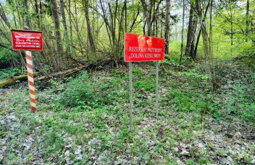 Leśna Chata kuracyjna nad rzeką z sauną w Borach Tucholskich - Foto 39