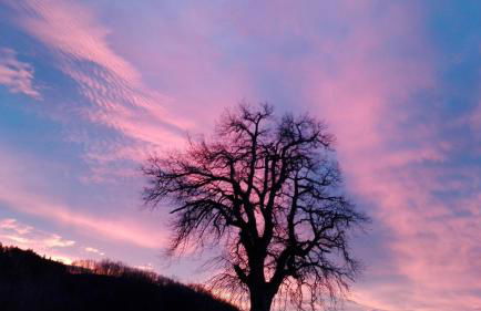 Antica Dimora - Foto 9