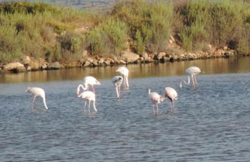 Maison bord de mer climatisée La Capte , Hyères - Foto 15