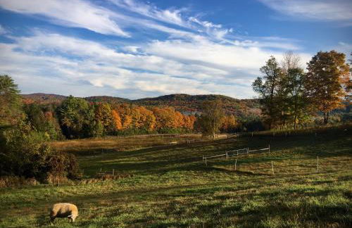 Fat Sheep Farm & Cabins - Foto 19