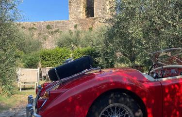 Monteriggioni Castello - Foto 10