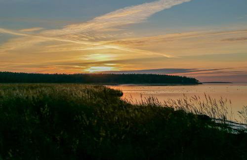 Haffblick im Reetdachhaus am Haff - Foto 17