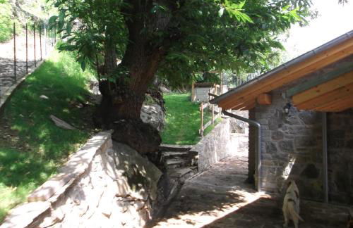 Agriturismo Ai Ronchi - Foto 9