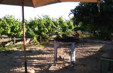 Casa de los abuelos - Foto 66