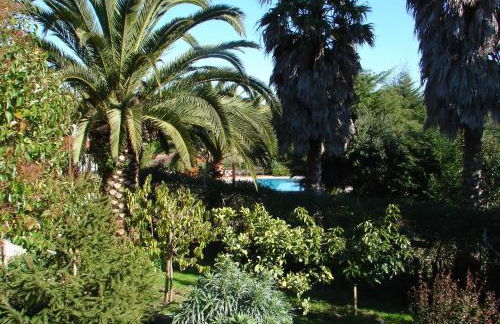 Quinta Verde Sintra - Casa de Campo - Foto 39