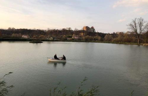 Domki wędkarskie nad Stawami Pirania - Foto 55