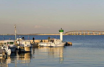 Chai des tortues - Ile de ré - 250 m de la plage - Rivedoux plage 3 chambres - 2 salles d eau - 1 à 6 personnes - Foto 80