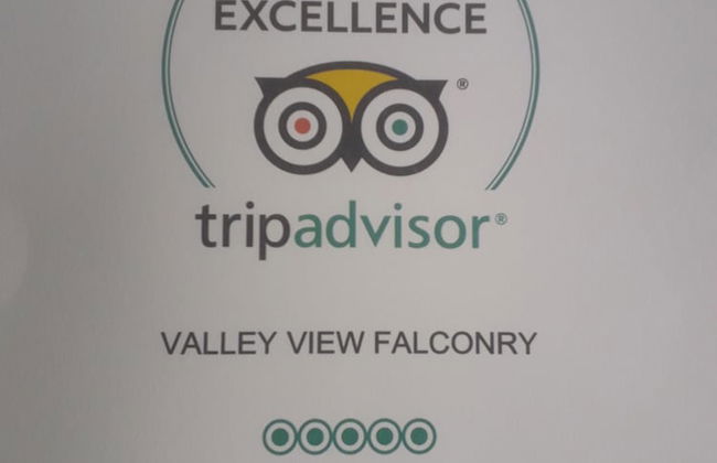 Ruby Shepherds hut Sleeps 4 - Photo 14