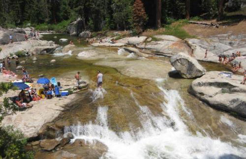 The Elderberry Retreat - It's a Dream Location! - Foto 67