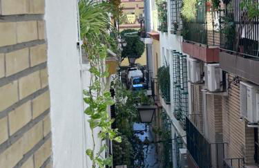 Arco MacarenA - Foto 43