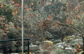 Paradise Ranch Inn- Limitless House Hot Tub,Sauna - Foto 43