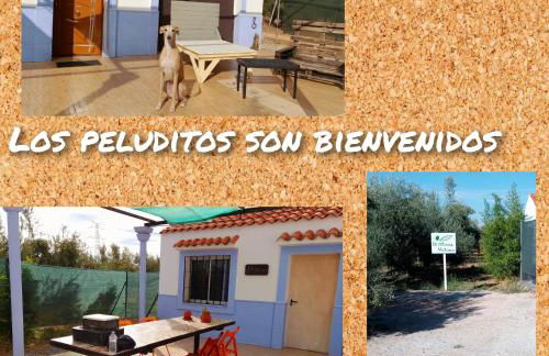 Casa Rural El Olivar Victoria - Foto 6