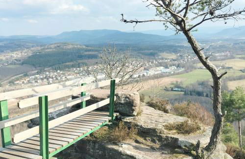 v i o l e t t e La souris des champs - Foto 13