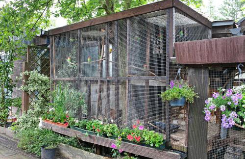 Familienoase Damsdorf - Foto 8