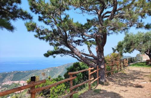 Il Ciuffo: ampia casa panoramica con parcheggio. - Foto 17