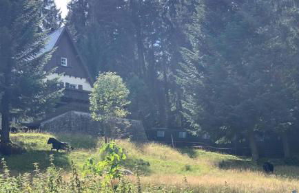 Berghaus Carlsfeld - Foto 49