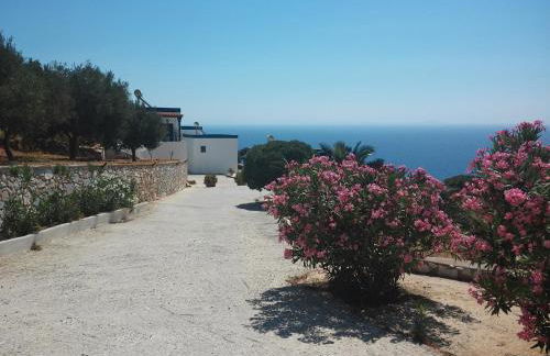 Sarris Planet - Photo 59