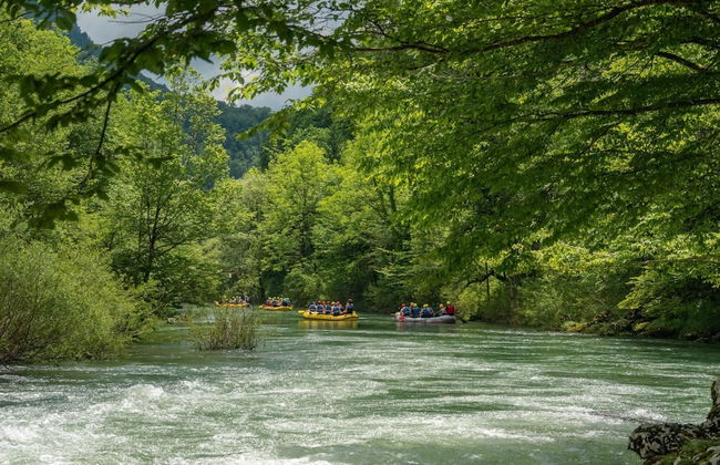 Vineyard Homestead Vrtin - Foto 31