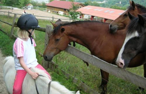 Ferienhof Pfeiffer - Foto 22