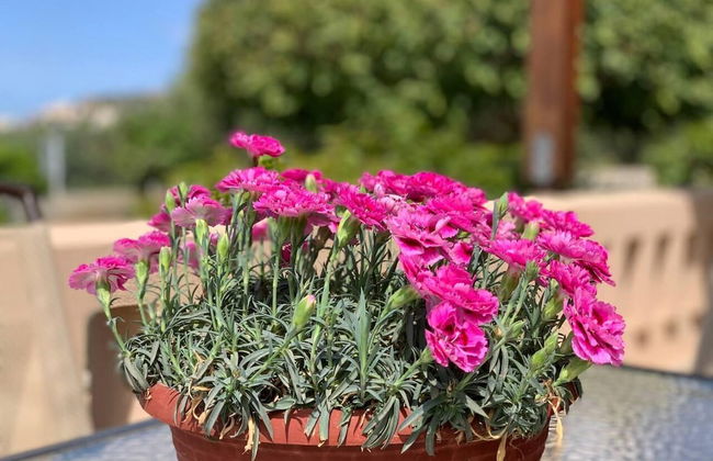 Stunning 3-bedroom Villa Near Malia Beach - Foto 36