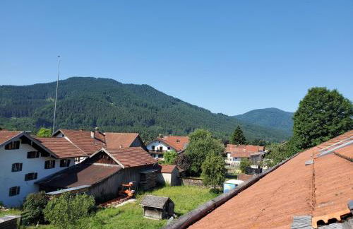 Biohof Dimper - KuhHorn - Foto 13