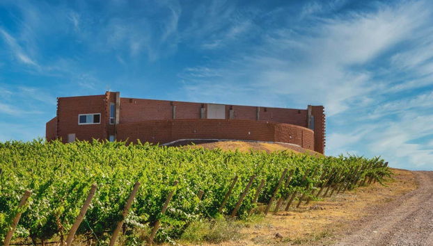 Vaca Muerta Tour - Foto 2