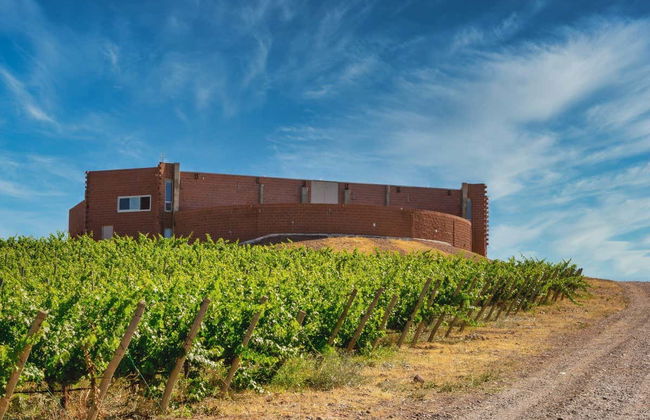 Excursion à Vaca Muerta - Photo 2