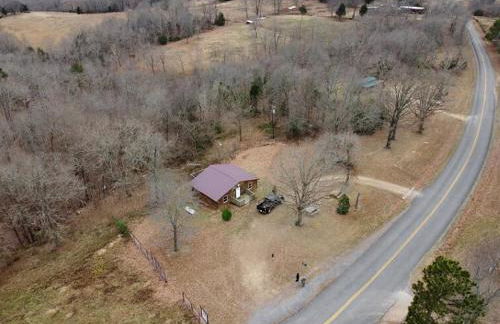 Cabin with a tree house on a buffalo farm . - Foto 3