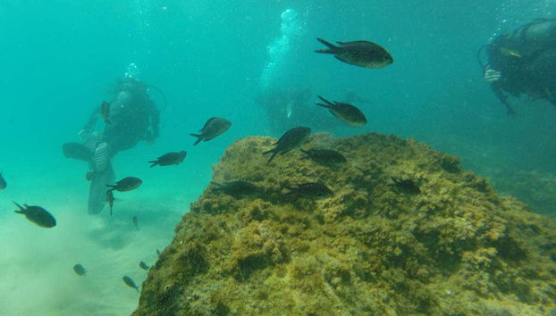 Beginner's Scuba Dive in Tarragona - Photo 4