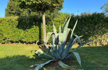 Villa Leopoldo by Istrian Country Houses - Foto 51