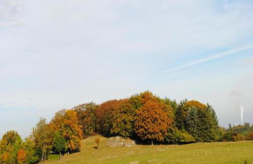 Ferienwohnung in Madfeld nahe Wald - Foto 36